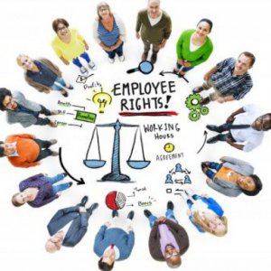 Employee Claims In Insolvency - Part 2