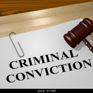 First Bounce Back Loan Criminal Conviction